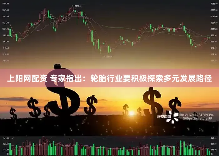 上阳网配资 专家指出：轮胎行业要积极探索多元发展路径