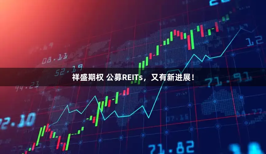祥盛期权 公募REITs，又有新进展！