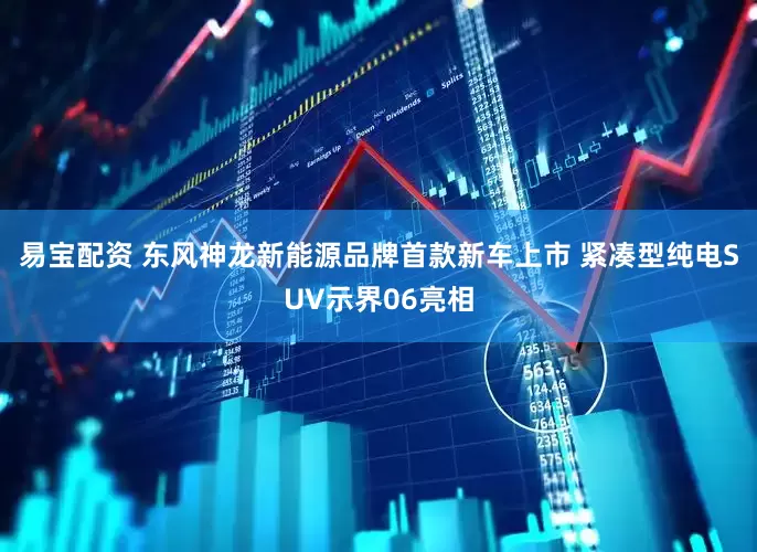 易宝配资 东风神龙新能源品牌首款新车上市 紧凑型纯电SUV示界06亮相