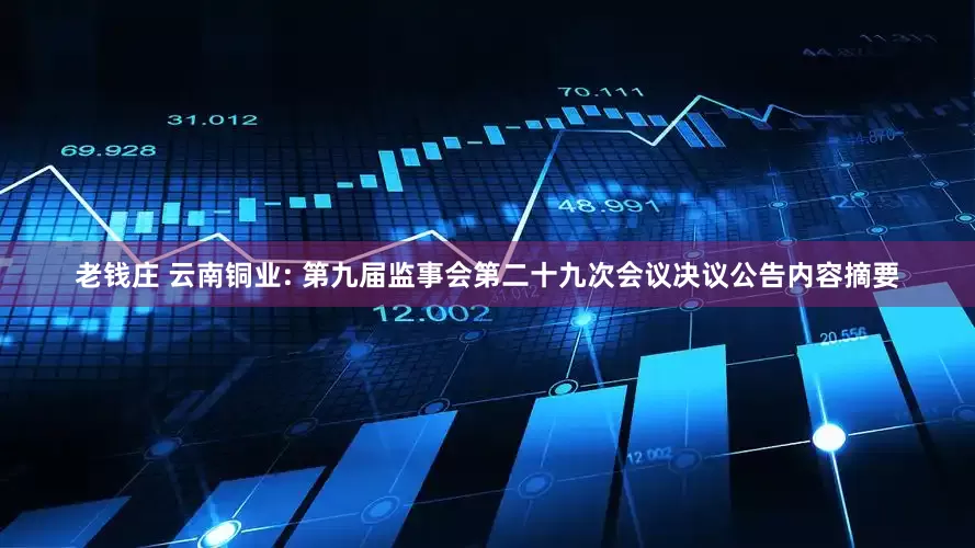 老钱庄 云南铜业: 第九届监事会第二十九次会议决议公告内容摘要