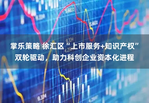 掌乐策略 徐汇区“上市服务+知识产权”双轮驱动,助力科创企业资本化进程